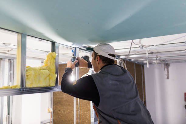 Types of Insulation We Offer in Harper Woods, MI