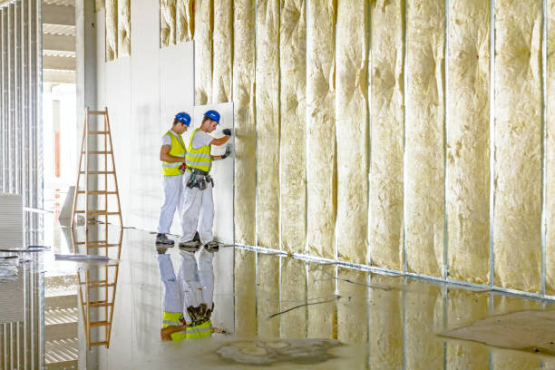 Best Insulation Maintenance and Repair in Harper Woods, MI